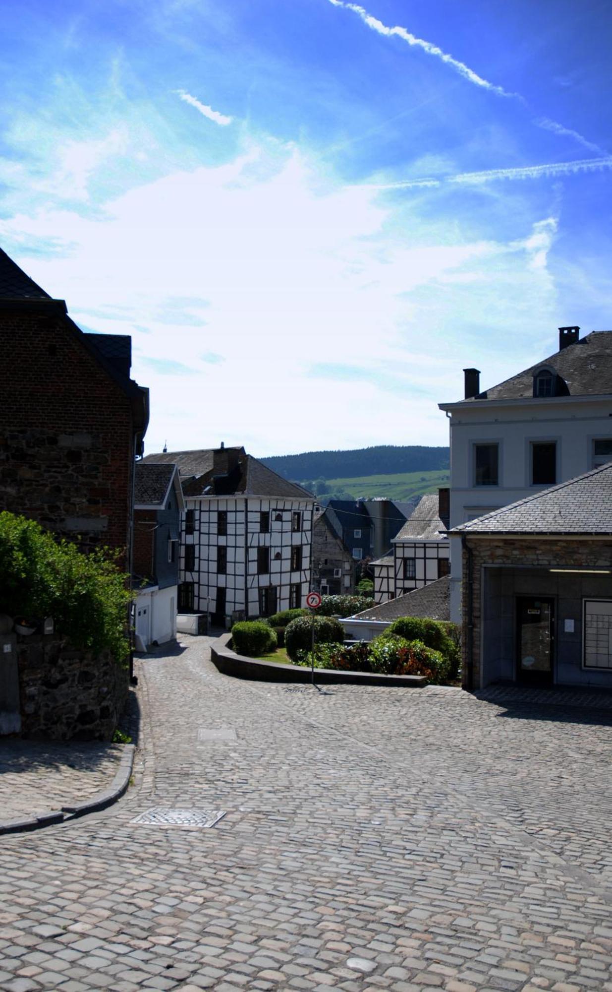 Hottonruy 4 Villa Stavelot Bagian luar foto