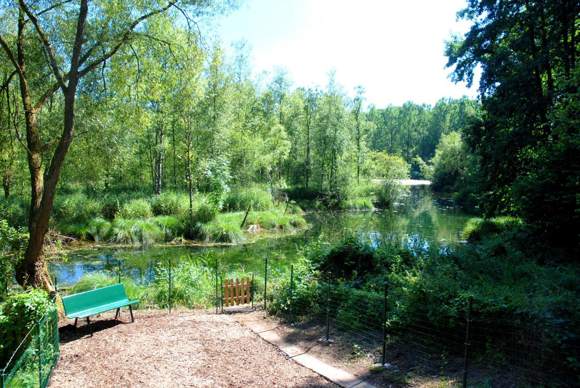 Hottonruy 4 Villa Stavelot Bagian luar foto