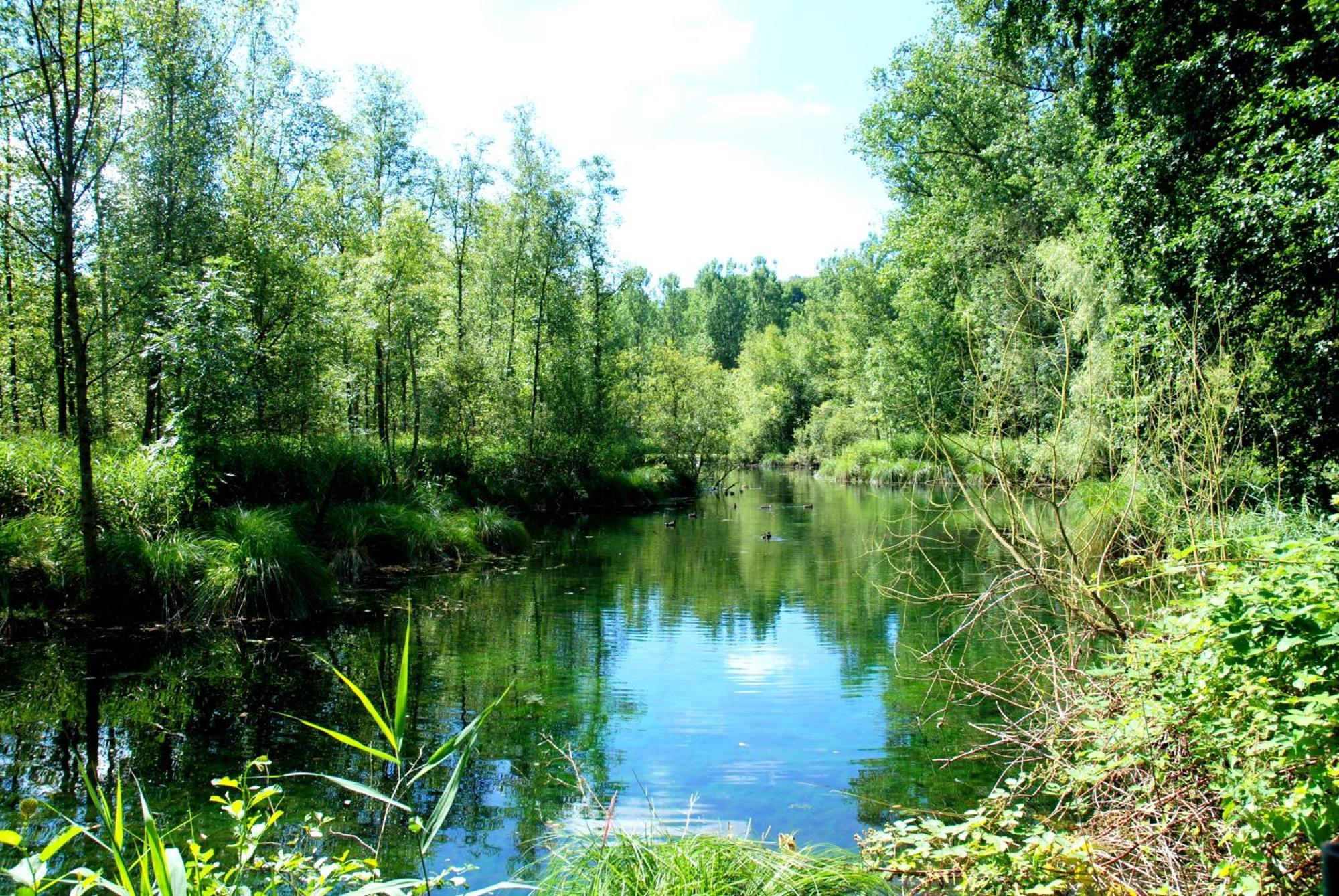 Hottonruy 4 Villa Stavelot Bagian luar foto
